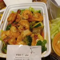 YSO Sushi ico