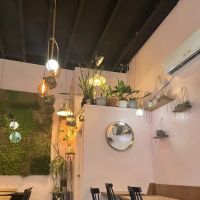 Chez Alex ico