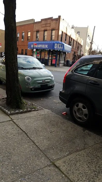 Ridgewood Andys Deli Picture 3