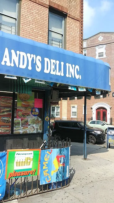 Ridgewood Andys Deli Picture 5