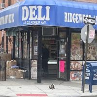 Ridgewood Andys Deli ico