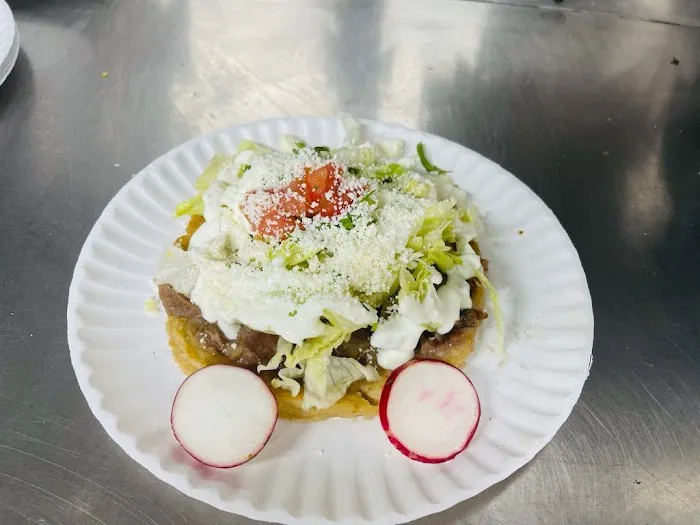 The Big Boss Mexican Food Truck Picture 5