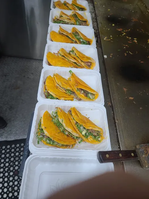 The Big Boss Mexican Food Truck Picture 6