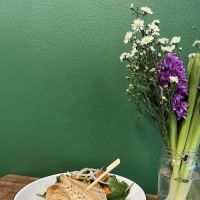 Anti Co. Cafe ico