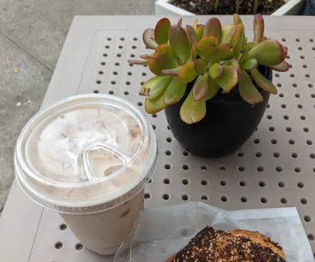 Commune Cafe + Wine Bar