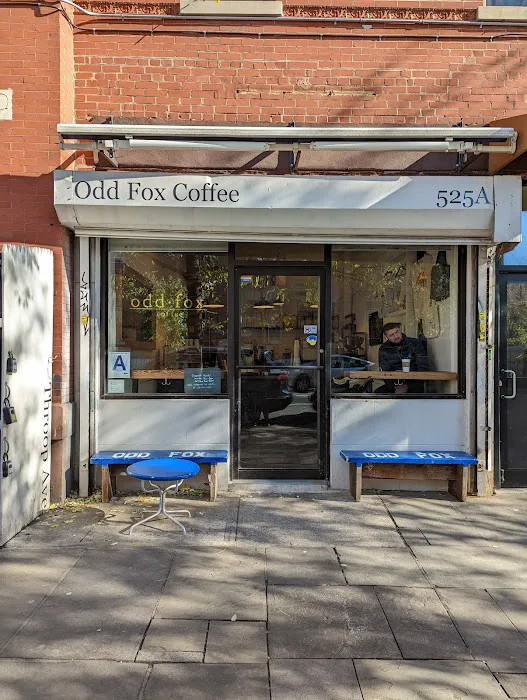 Odd Fox Coffee Picture 6
