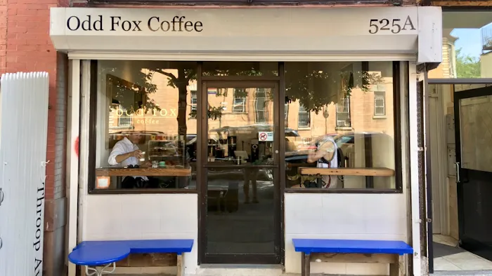 Odd Fox Coffee Picture 10
