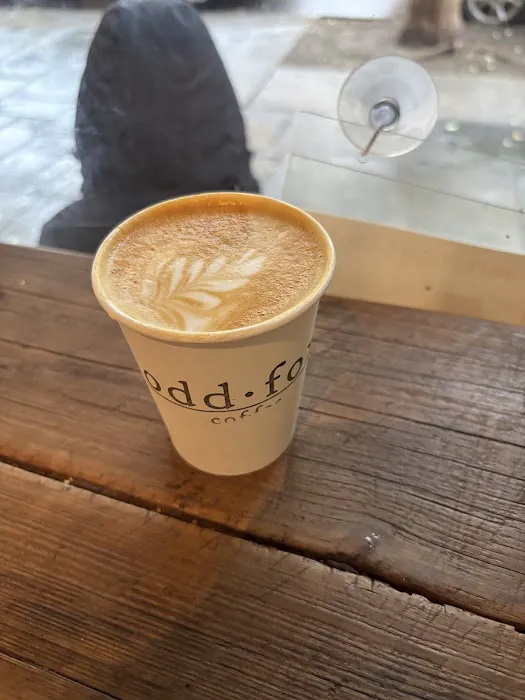 Odd Fox Coffee Picture 4