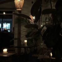 Corto After Hours ico