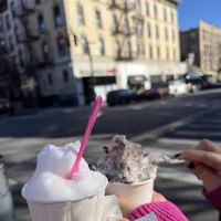 Wayne Clarke's Place Ice Creamery ico