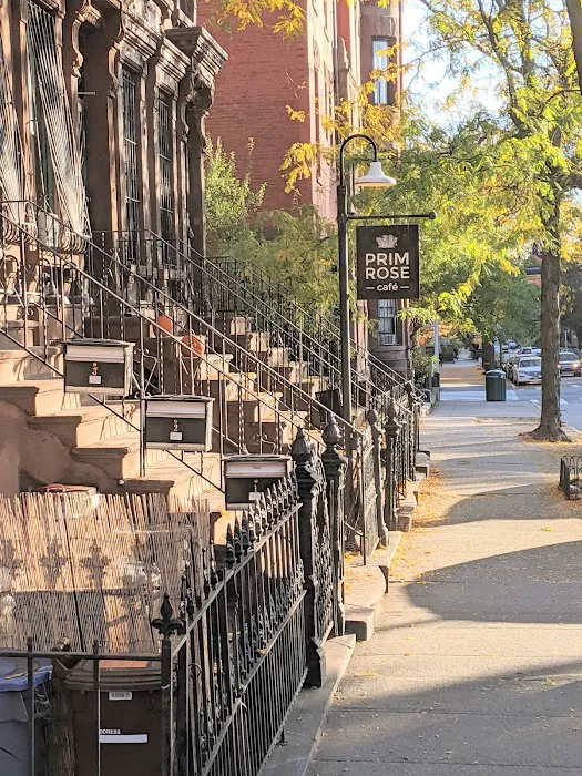 Prima Brooklyn Picture 9