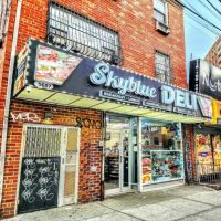Skyblue Deli ico