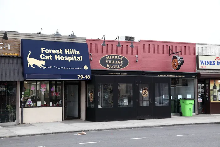 Middle Village Bagels Picture 5