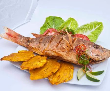 Du2019 la montana restaurant