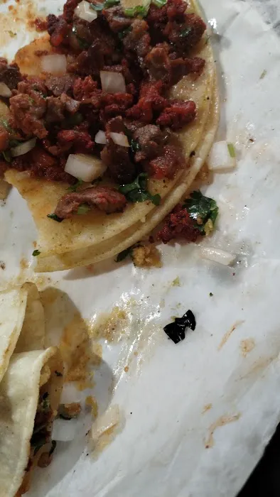TACOS AL GUSTO NYC Picture 1