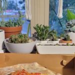 Tauro Wood Fired Pizza