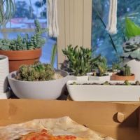 Tauro Wood Fired Pizza ico