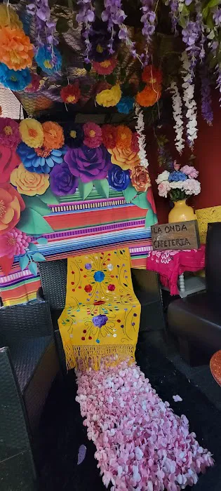 Picardia Mexicana Picture 2