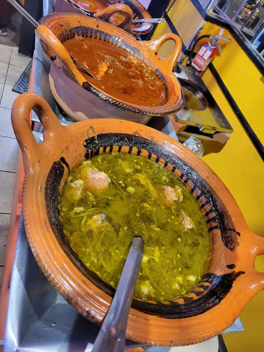 Picardia Mexicana Picture 1