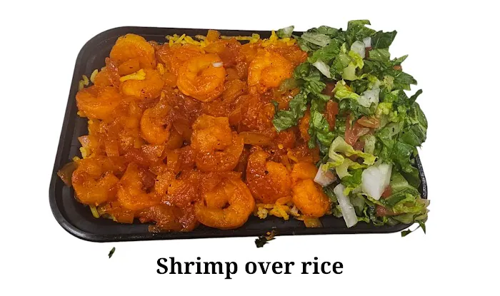 Indo - Pak Flavors NYC by Asian Flavors Halal Fusion Kitchen Picture 9