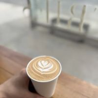 Sofia’s Bagel ico