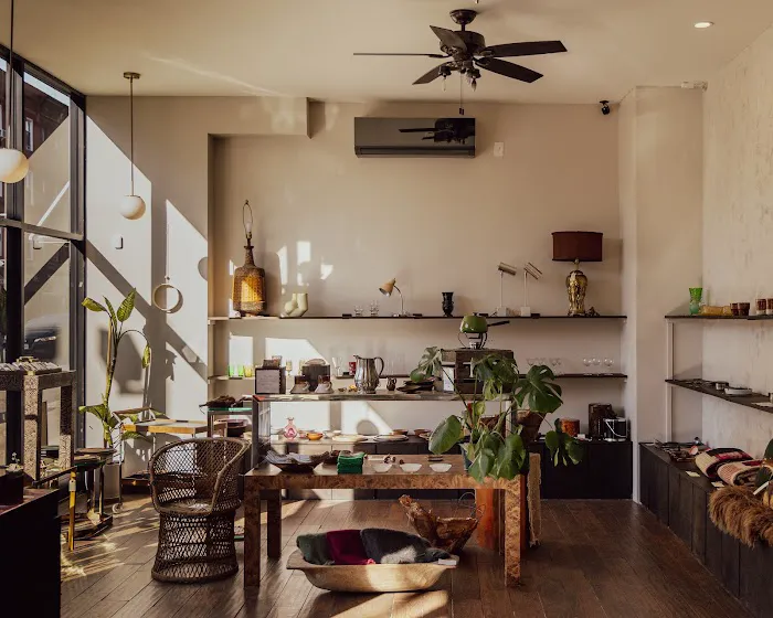 Again Vintage (home to SUBLIME Coffee & Plant Potions) Picture 7