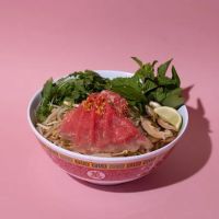 Money Cat Vietnamese American ico
