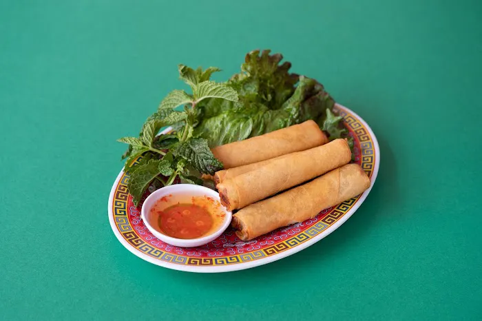 Money Cat Vietnamese American Picture 9
