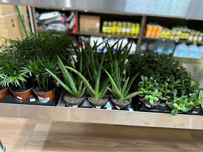 67 Forest deli Picture 6