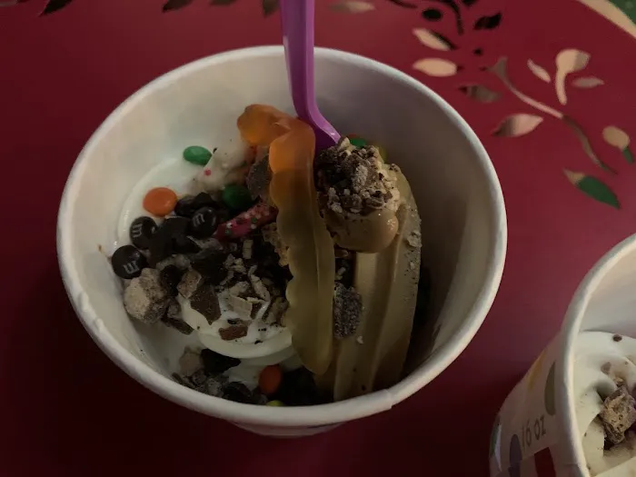 Twist It Top It Frozen Yogurt & Cafe Picture 7