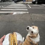 Pimentel Deli & Grocery