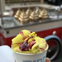 Biddrina Gelato ico