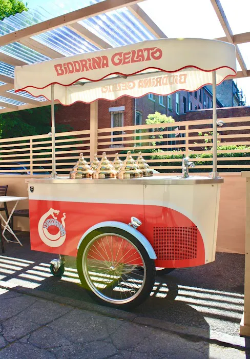 Biddrina Gelato Picture 8