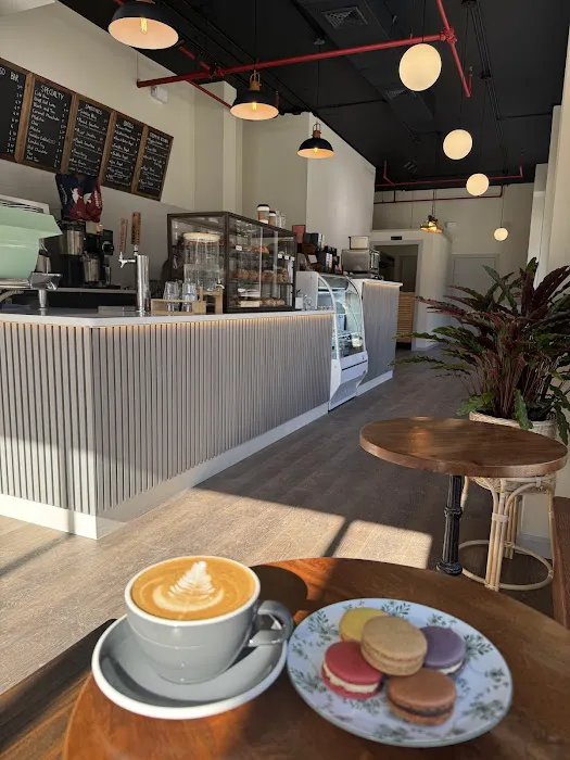 Coffee Land Picture 9