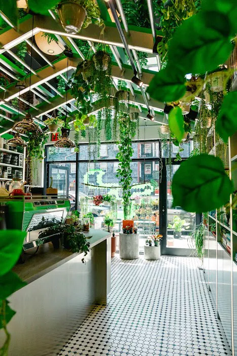 Greenhouse Café at Seed Brklyn Picture 6