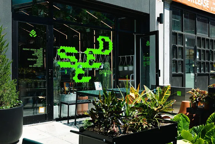 Greenhouse Café at Seed Brklyn Picture 4