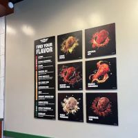Wingstop ico