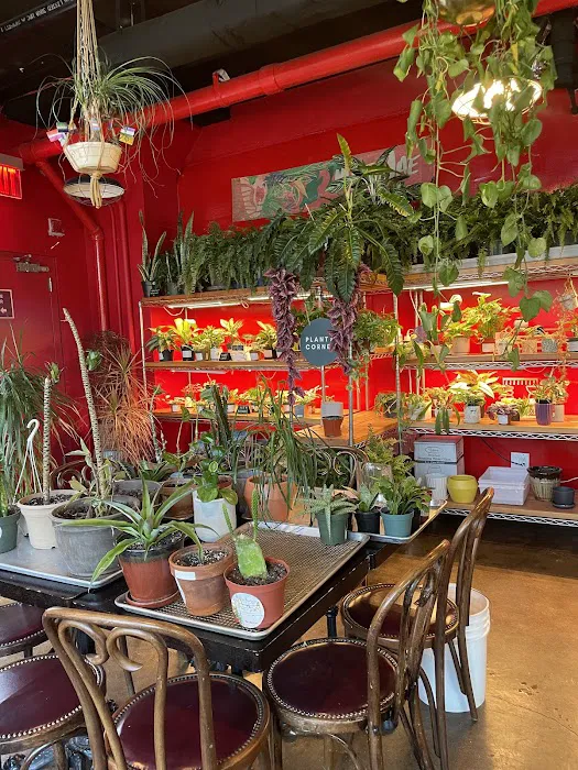Mae Mae Café & Plant Shop Picture 3