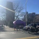 La Carpa Morada