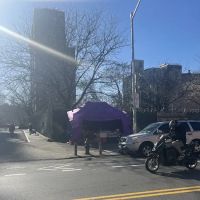 La Carpa Morada ico