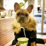 The Thinkubator Café