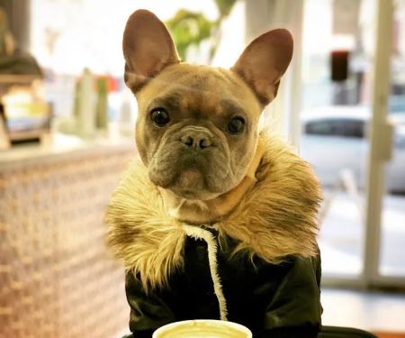 The Thinkubator Café