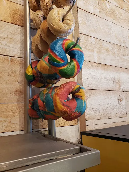Bagel Nest Picture 10