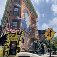 SluttyVegan Brooklyn ico