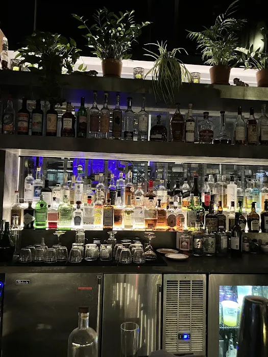 Vine Bar Picture 1