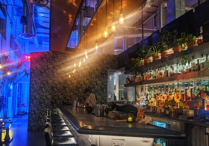 Vine Bar Picture 4