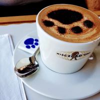Cafe Gitane ico