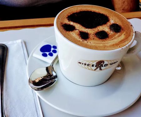 Cafe Gitane