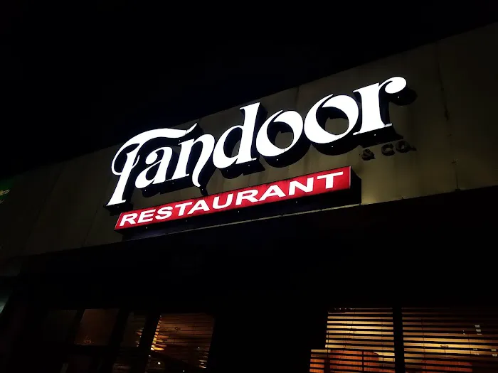 Tandoor Restaurant Picture 4