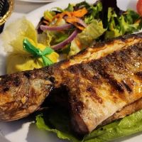 Black Sea Fish & Grill ico